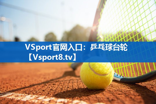 <strong>VSport官网入口：乒乓球台轮</strong>
