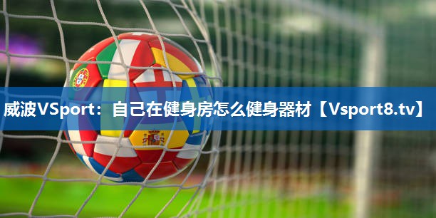 威波VSport：自己在健身房怎么健身器材