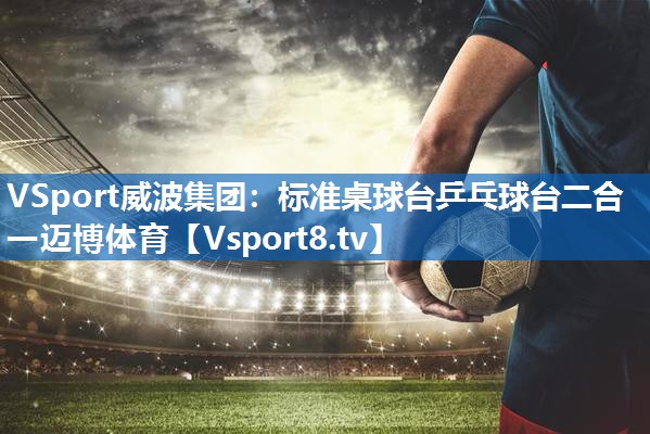 VSport威波集团：标准桌球台乒乓球台二合一迈博体育