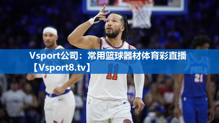 Vsport公司：常用篮球器材体育彩直播