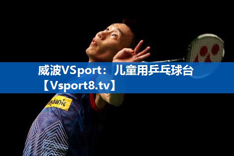 <strong>威波VSport：儿童用乒乓球台</strong>