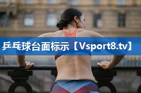 乒乓球台面标示