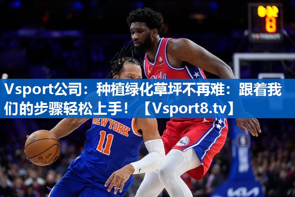 Vsport公司：种植绿化草坪不再难：跟着我们的步骤轻松上手！