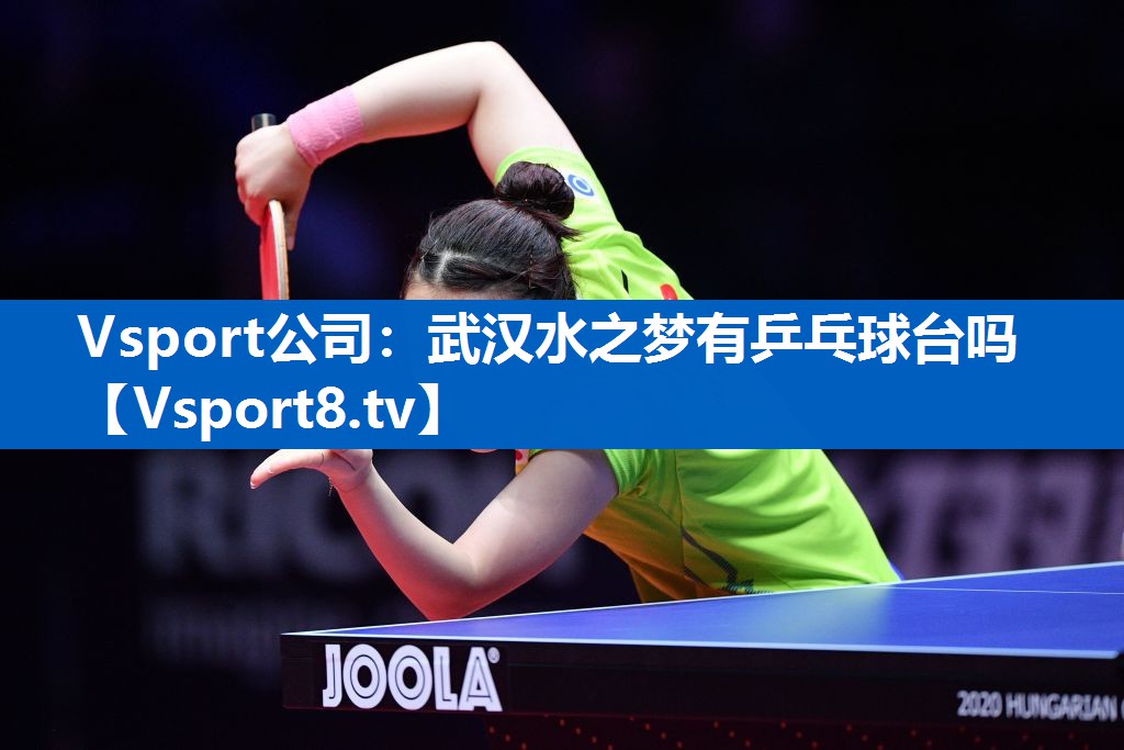 Vsport公司：武汉水之梦有乒乓球台吗