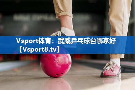 <strong>Vsport体育：武威乒乓球台哪家好</strong>