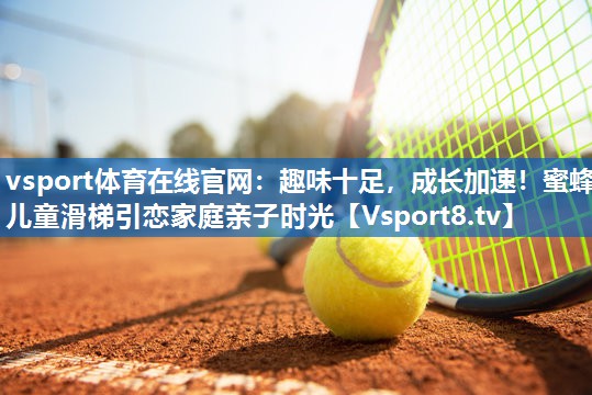 <strong>vsport体育在线官网：趣味十足，成长加速！蜜蜂儿童滑梯引恋家庭亲子时光</strong>