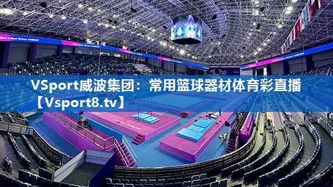 <strong>VSport威波集团：常用篮球器材体育彩直播</strong>