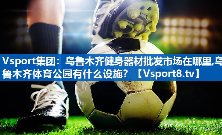 Vsport集团：乌鲁木齐健身器材批发市场在哪里,乌鲁木齐体育公园有什么设施？