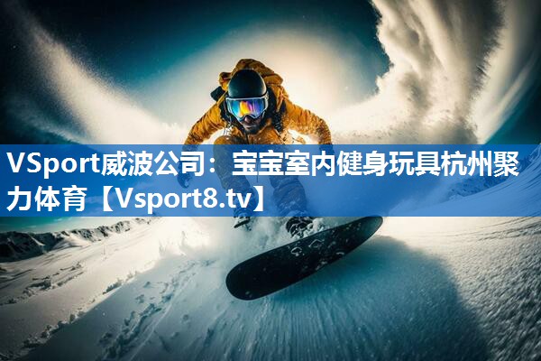 VSport威波公司：宝宝室内健身玩具杭州聚力体育