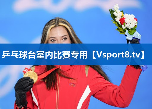<strong>乒乓球台室内比赛专用</strong>