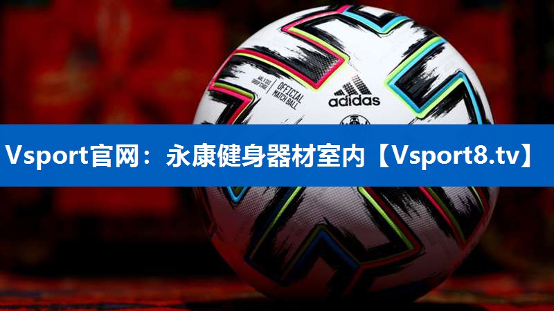 <strong>Vsport官网：永康健身器材室内</strong>