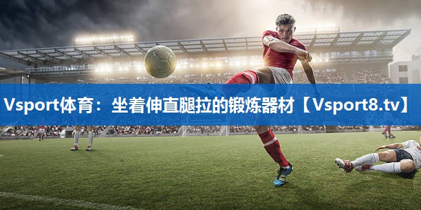 <strong>Vsport体育：坐着伸直腿拉的锻炼器材</strong>