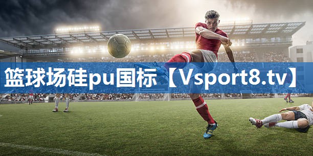 篮球场硅pu国标