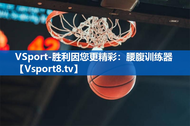 VSport-胜利因您更精彩：腰腹训练器