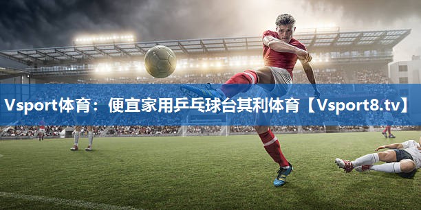 Vsport体育：便宜家用乒乓球台其利体育
