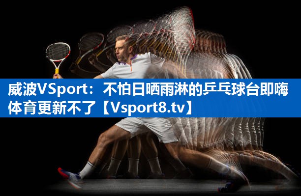 威波VSport：不怕日晒雨淋的乒乓球台即嗨体育更新不了