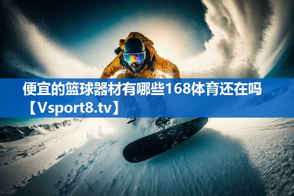 便宜的篮球器材有哪些168体育还在吗