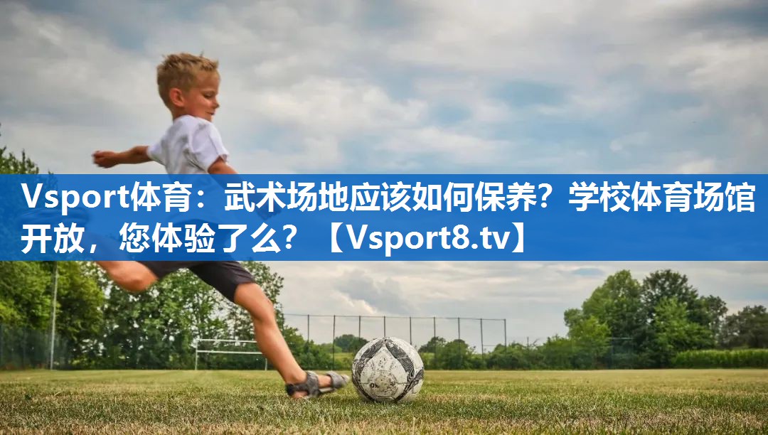 <strong>Vsport体育：武术场地应该如何保养？学校体育场馆开放，您体验了么？</strong>