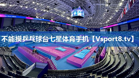 不能摸乒乓球台七星体育手机