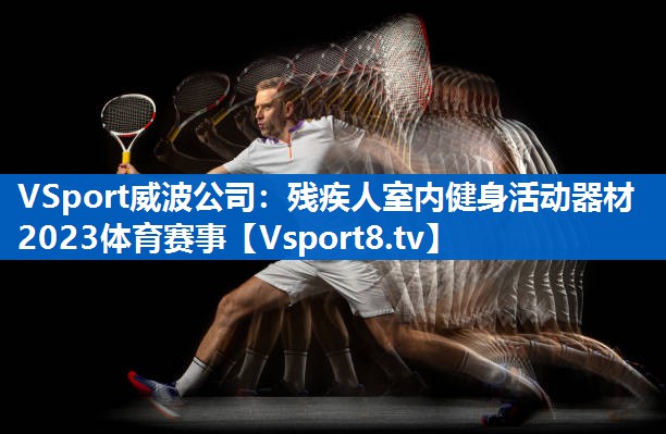 <strong>VSport威波公司：残疾人室内健身活动器材2023体育赛事</strong>