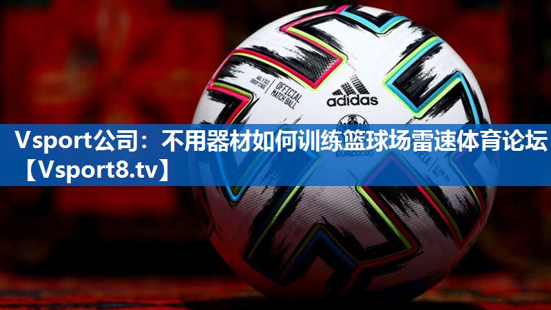 <strong>Vsport公司：不用器材如何训练篮球场雷速体育论坛</strong>