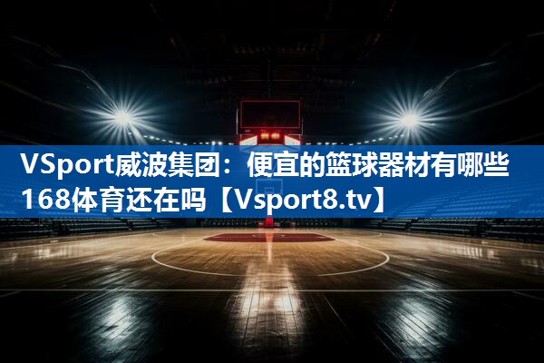 <strong>VSport威波集团：便宜的篮球器材有哪些168体育还在吗</strong>