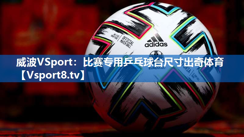 <strong>威波VSport：比赛专用乒乓球台尺寸出奇体育</strong>