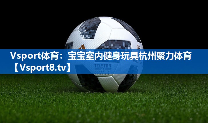 Vsport体育：宝宝室内健身玩具杭州聚力体育