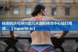 <strong>标准的乒乓球台是几米潮阳体育中心项目现场…</strong>