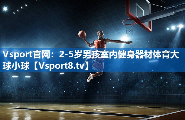 <strong>Vsport官网：2-5岁男孩室内健身器材体育大球小球</strong>