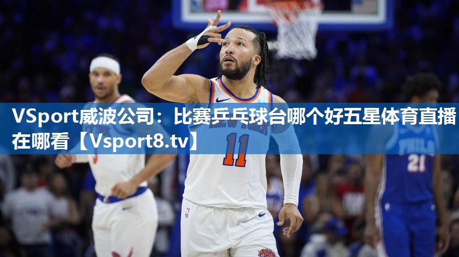 <strong>VSport威波公司：比赛乒乓球台哪个好五星体育直播在哪看</strong>
