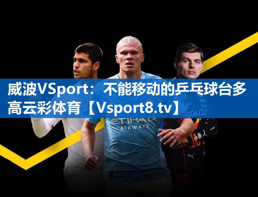 威波VSport：不能移动的乒乓球台多高云彩体育