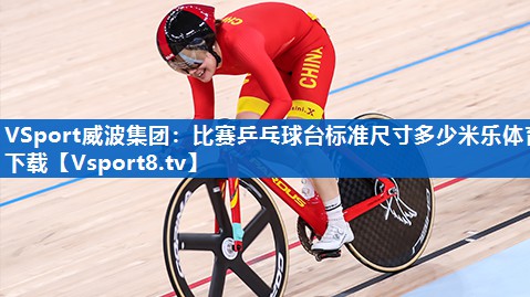 VSport威波集团：比赛乒乓球台标准尺寸多少米乐体育下载