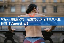VSport威波公司：便携式小乒乓球台八大胜体育