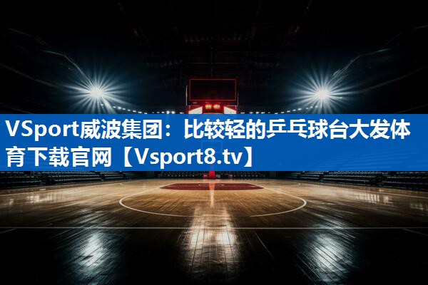 <strong>VSport威波集团：比较轻的乒乓球台大发体育下载官网</strong>