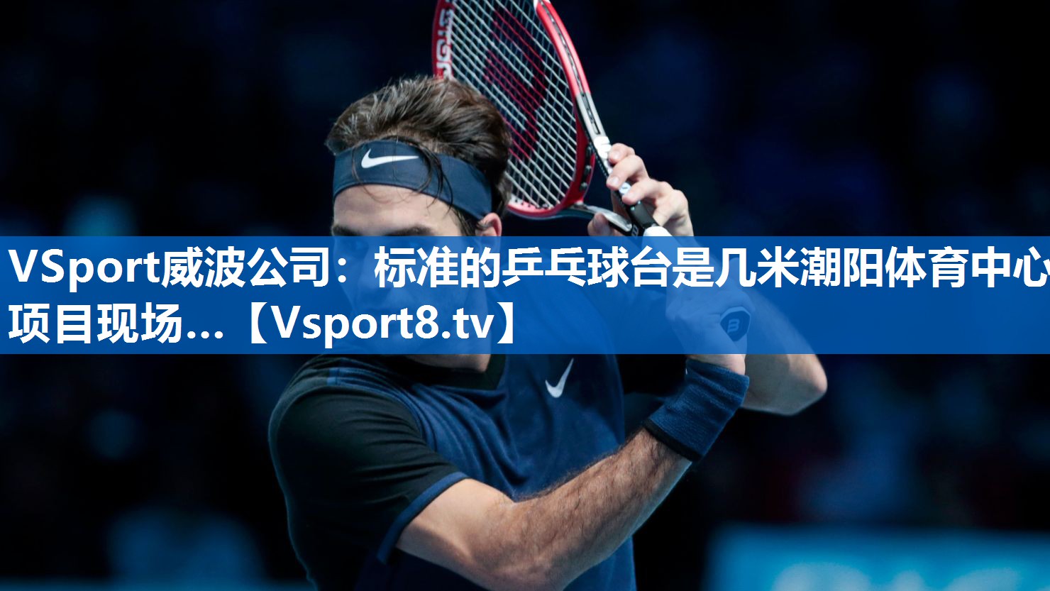 VSport威波公司：标准的乒乓球台是几米潮阳体育中心项目现场…