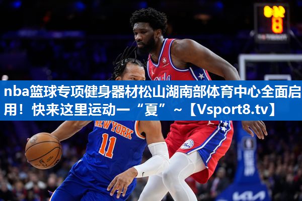 <strong>nba篮球专项健身器材松山湖南部体育中心全面启用！快来这里运动一“夏”~</strong>