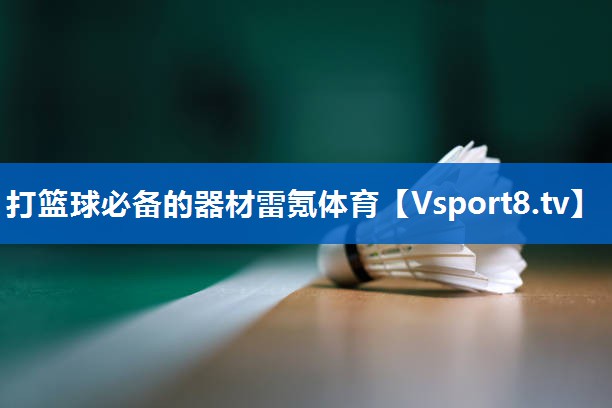 <strong>打篮球必备的器材雷氪体育</strong>