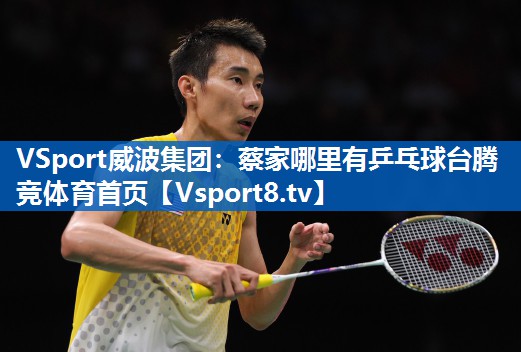VSport威波集团：蔡家哪里有乒乓球台腾竞体育首页