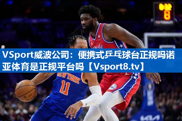 VSport威波公司：便携式乒乓球台正规吗诺亚体育是正规平台吗