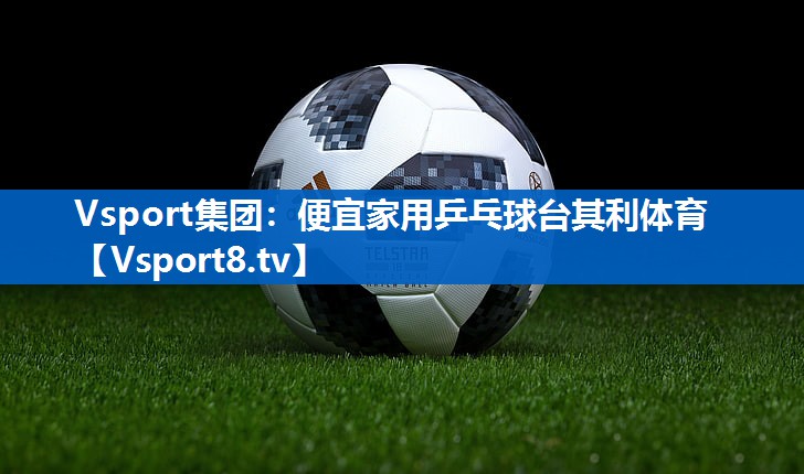 Vsport集团：便宜家用乒乓球台其利体育