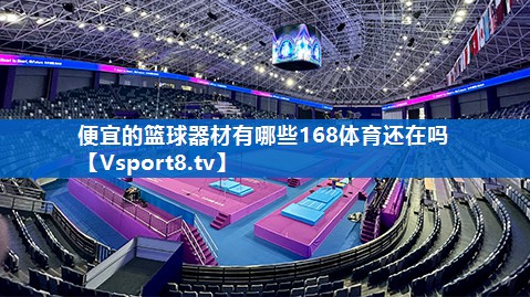 便宜的篮球器材有哪些168体育还在吗