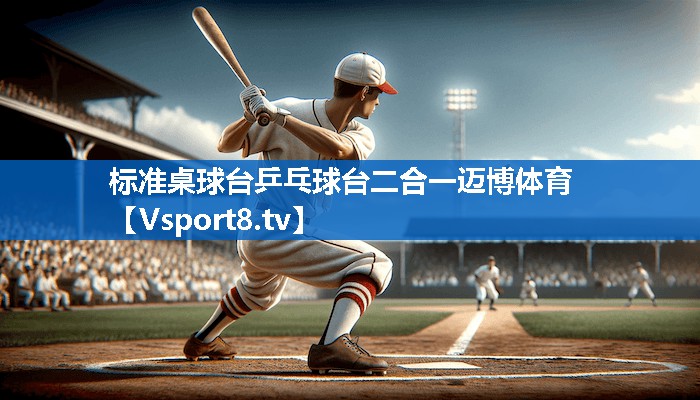 标准桌球台乒乓球台二合一迈博体育