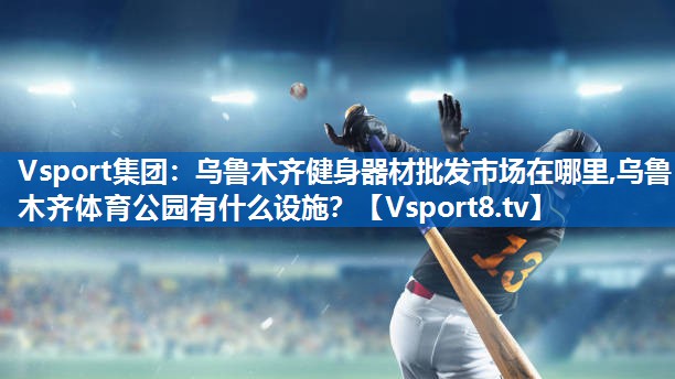 <strong>Vsport集团：乌鲁木齐健身器材批发市场在哪里,乌鲁木齐体育公园有什么设施？</strong>