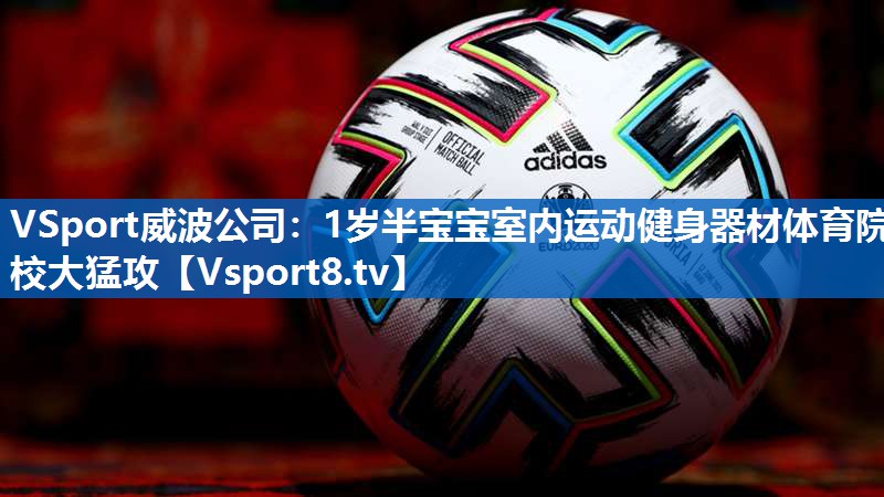 <strong>VSport威波公司：1岁半宝宝室内运动健身器材体育院校大猛攻</strong>