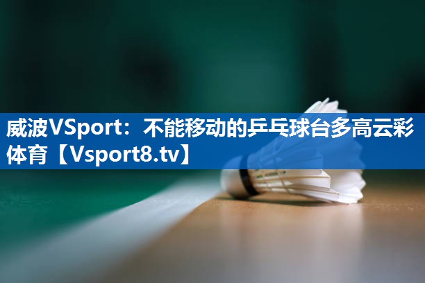 威波VSport：不能移动的乒乓球台多高云彩体育