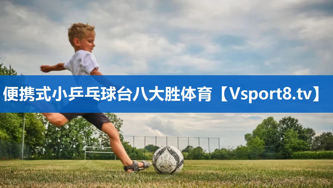 便携式小乒乓球台八大胜体育
