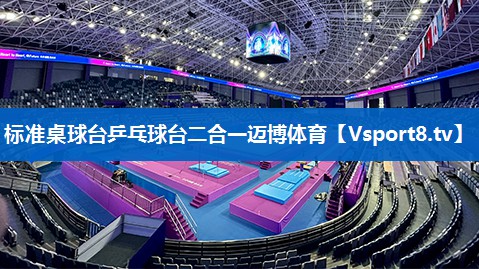 标准桌球台乒乓球台二合一迈博体育