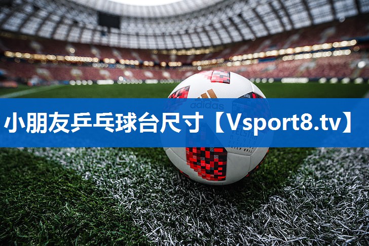 小朋友乒乓球台尺寸