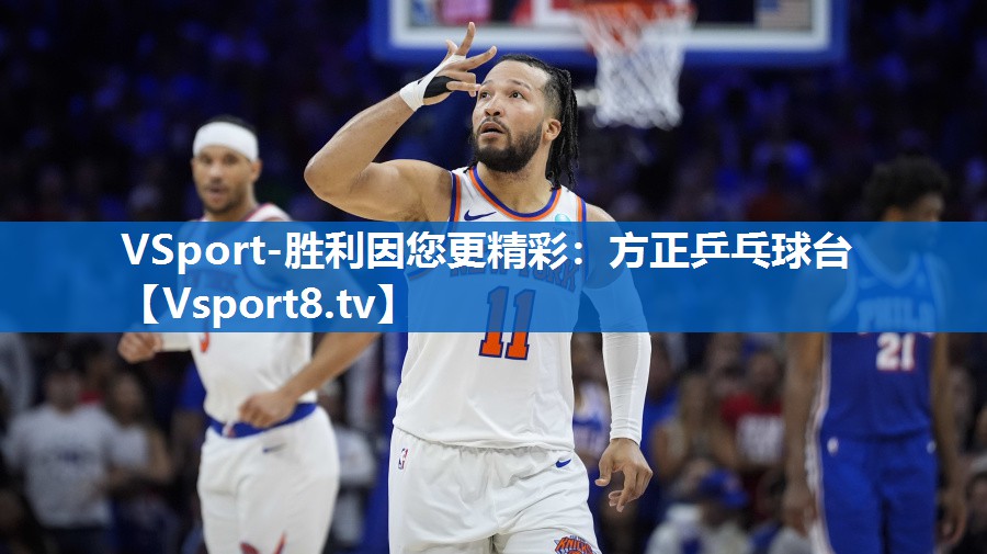 VSport-胜利因您更精彩：方正乒乓球台